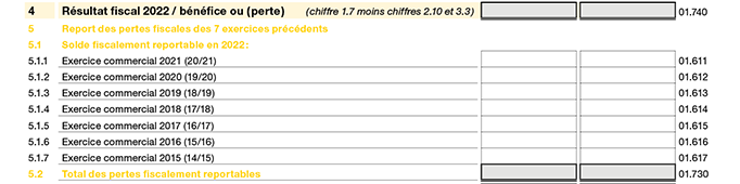 Page de garde 2 - Report des pertes fiscales