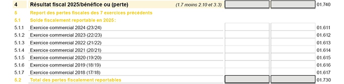Page de garde 2 - Report des pertes fiscales